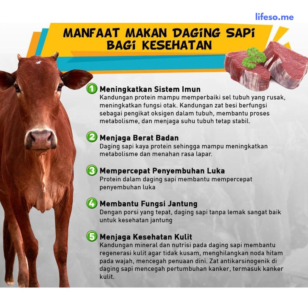 Berikut Manfaat Dan Dampak Mengkonsumsi Daging Sapi