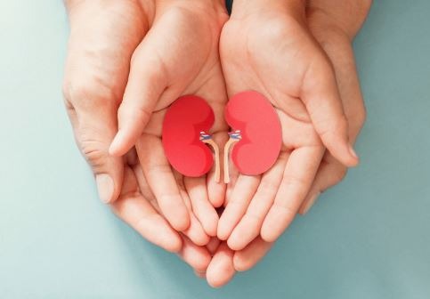 9 Cara Praktis Menjaga Kesehatan Ginjal untuk Kehidupan Sehari-hari