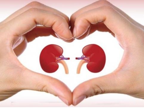 Kesehatan Ginjal